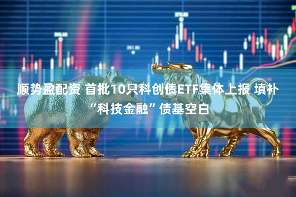 顺势盈配资 首批10只科创债ETF集体上报 填补“科技金融”债基空白